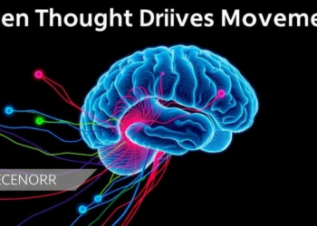 When Thought Drives Movement: How the Brain's Cognitive and Motor Systems Intertwine