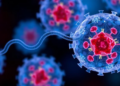 CRISPR Editing Route, Not Just Target Genes, Reshapes CHO Cell Lines
