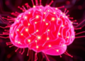 Flexible Electrode Arrays Track the Same Brain Cells for Months as Their Codes Keep Shifting
