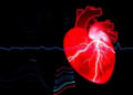 New Echo Method Predicts Survival After Heart Valve Implantation