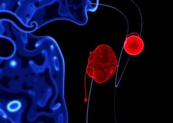 AI Reads Tumor Slides and Genes Together to Flag Hidden Risk in Early-Stage Endometrial Cancer