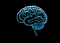 A Simple Tapping Task Taps Into the Brain's Three Core Executive Functions