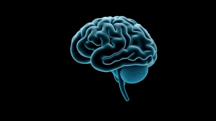 A Simple Tapping Task Taps Into the Brain's Three Core Executive Functions