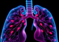 AI That Explains Itself: New Benchmark Reveals Which Neural Networks Truly See Pneumonia
