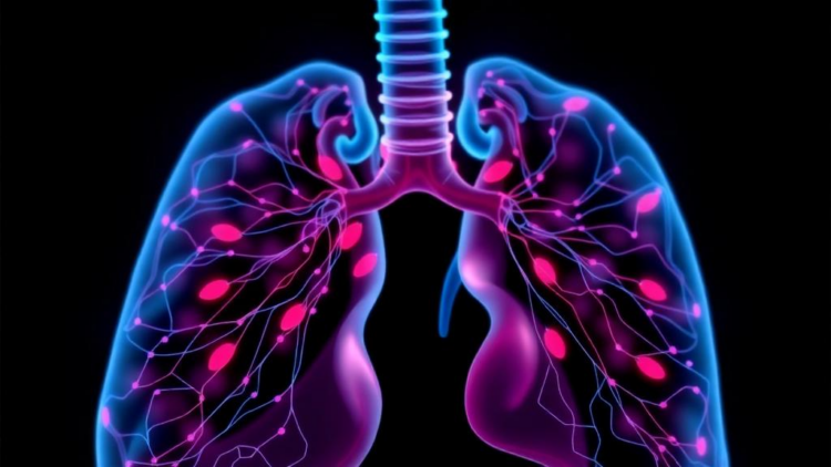 AI That Explains Itself: New Benchmark Reveals Which Neural Networks Truly See Pneumonia