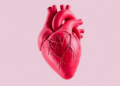 Rare Heart-Invading Streptococcus Carries a Hemolysis Gene Block Linked to Deadly Endocarditis
