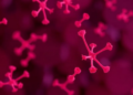 Antibodies That Coat a 'Good' Vaginal Bacterium May Help Guard Against Preterm Birth