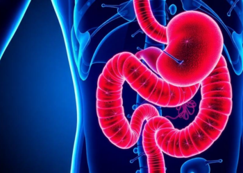Apatinib-based neoadjuvant regimens show promise in resectable gastric cancer meta-analysis