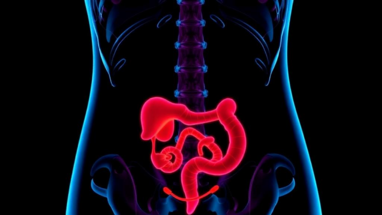 AI Models Predict Radiation Gut Damage in Cervical Cancer—but Are They Ready for the Clinic?