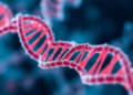 New AI network reads tuberculosis genomes and audits its own evidence for drug resistance