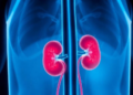 Finerenone Slows Kidney Decline in Non-Diabetic CKD, Real-World Study Finds