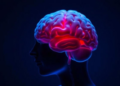 Admission Lactate Adds Little to Prognosis in Severe Traumatic Brain Injury