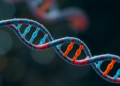 How Well Can Your Cells Fix Broken DNA? A Landmark Review Maps the Tools That Measure Nucleotide Excision Repair