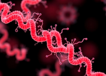 New automated tool decodes Campylobacter genome signals linked to Guillain-Barré syndrome