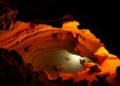 Moroccan Sahara cave reveals Africa's richest known subterranean fauna