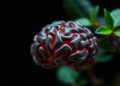 Apigenin, a Common Plant Flavonoid, Emerges as a Multi-Target Defender of the Aging Brain