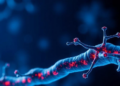 The Amino Acid Arginine Emerges as a Brake on the NLRP3 Inflammasome