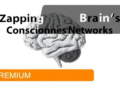 Zapping the Brain's Consciousness Networks: What 22 Controlled Trials Reveal