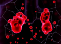 A Simple Blood Protein Could Reveal How Aggressive Advanced Prostate Cancer Will Be