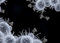 Tigecycline Shows Promise Against Drug-Resistant Nontuberculous Mycobacteria, Review Finds