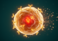 Surface Y RNAs Turn Monocytes into Inflammatory Amplifiers