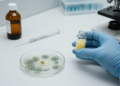Lichen Compound Usnic Acid Supercharges a Key Antifungal Drug in Lab Tests
