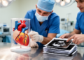 Pediatric Heart Surgeons Propose Selection Framework to Predict Mitral Valve Repair Success in Dilated Cardiomyopathy