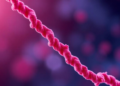 Giant Muscle Gene Titin Emerges as a Driver of Drug-Resistant Childhood Leukemia