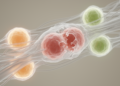Single-Cell Atlas Reveals How a Rare ANO5 Mutation Dismantles Muscle From Within