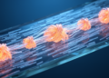 Liquid Crystal Solitons Show a Hall-Like Drift Under Shear Flow