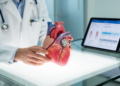 Dutch Registry Maps How Younger Patients Fare When Replacement Heart Valves Fail