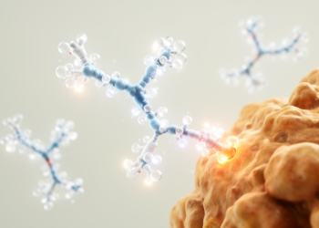 Antibody–Drug Conjugates Reshape Solid Tumor Therapy Amid Safety and Target Challenges