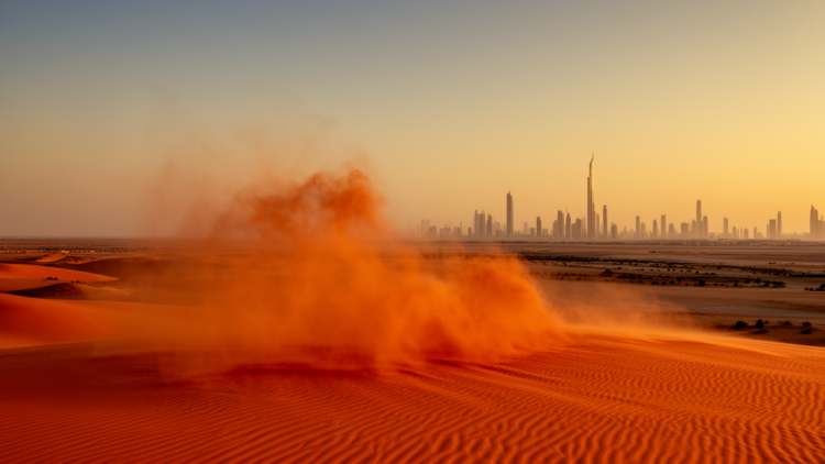 Dust-borne microbes connect deserts and cities, scientists urge joint restoration