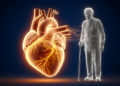 Frailty Signals Hidden Risk of Serious Heart Rhythm Wiring Problems