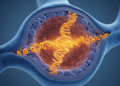 Lactate-fueled enzyme rewrites gene expression to drive pulmonary arterial hypertension