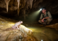 Frogs in Brazilian caves are residents, not lost visitors, study argues
