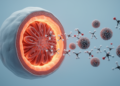 Modified antibodies curb neutrophil surge in early autoimmune kidney disease