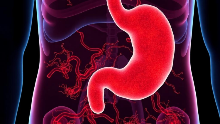 Inflammation-Driven Spatial Niche Sets the Stage for Early Gastric Cancer