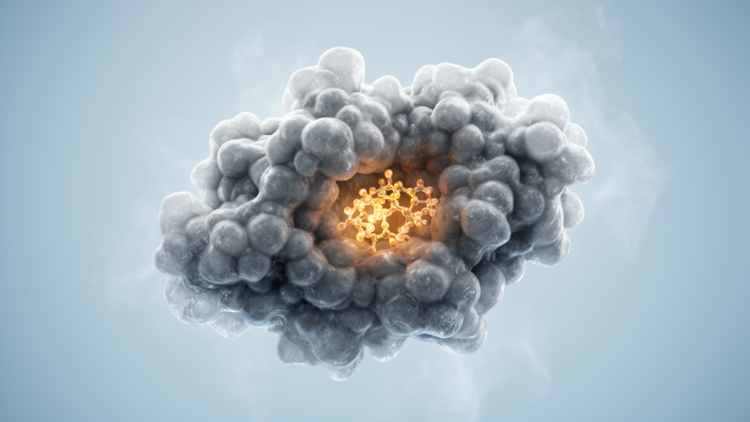 Cryo-EM freezes bacterial enzyme mid-action as it builds a cancer drug scaffold