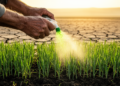 How Plant Extracts Prime Crops to Survive Drought, Salt and Heat