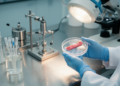 Rab GTPase Blockers Fail to Dampen Adrenergic Contraction in Human Prostate Tissue