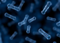 Immune Antibodies Linked to Stroke Recovery and Relapse Risk in Landmark Berlin Study