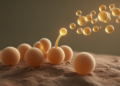 Fungal Spores Listen for Farnesol to Decide When to Wake Up