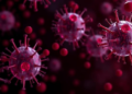 Blood Cells Rewound: Direct Neural Conversion Slowly Erases Epigenetic Age