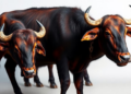 MRSA found in one in ten Bangladeshi buffaloes
