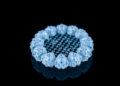 CO2-triggered gelation yields stable solid sorbent for carbon capture