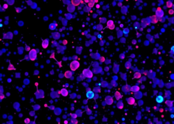 Single-Cell Sequencing Extends Tumor Analysis to Fixed Clinical Samples