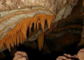Costa Rica’s Caves Hide a Vastly Unmapped Animal World