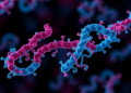 Antibody–Drug Conjugates Emerge as Immune Modulators, Not Just Targeted Chemotherapy