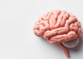 Age Rewrites the Brain Rules of Early Multiple Sclerosis, Five-Year Study Finds